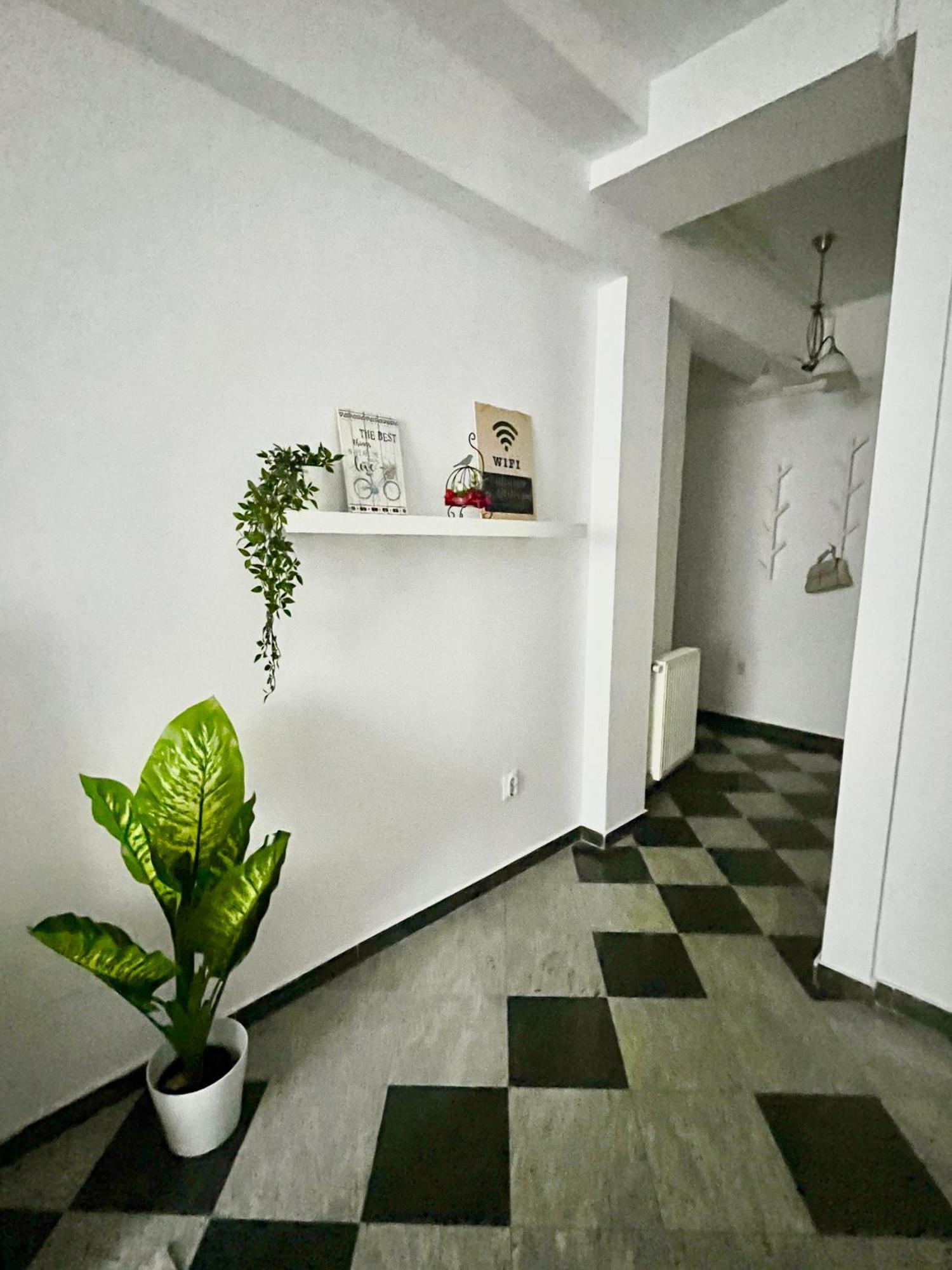 Victoriei Spacious Studio Bucureşti Eksteriør bilde